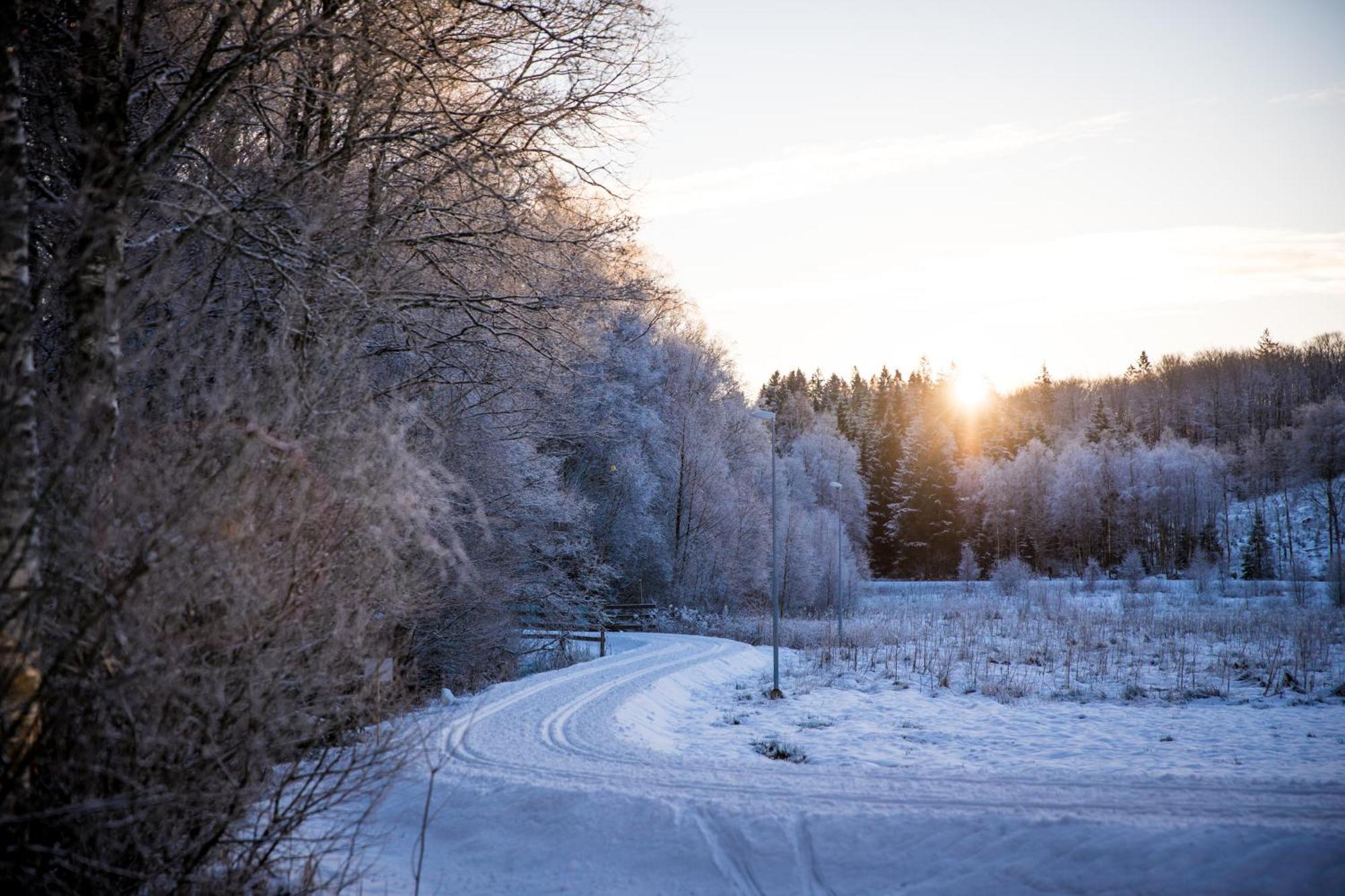 Akulla Outdoor Resort Rolfstorp エクステリア 写真