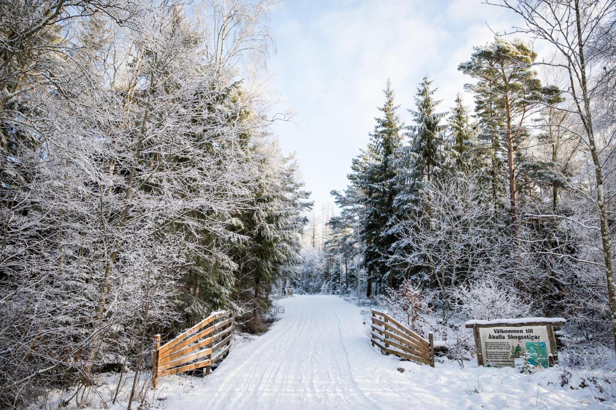 Akulla Outdoor Resort Rolfstorp エクステリア 写真